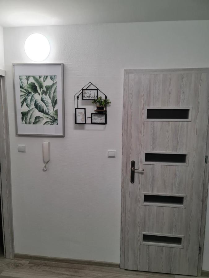 Apartament Nova Przy S3 ノバ・スル エクステリア 写真